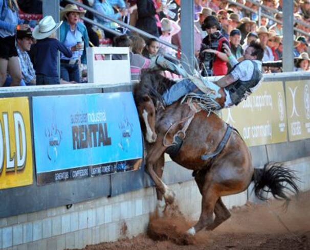 Rodeo revives cruelty debate