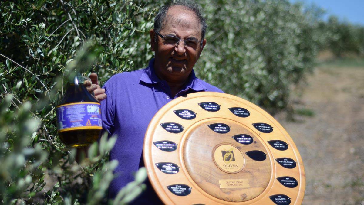 Big River Olives' Frank Di Girolamo shows off the olive wood trophy he won for producing South Australia's olive oil of the year at his Mypolonga orchard.