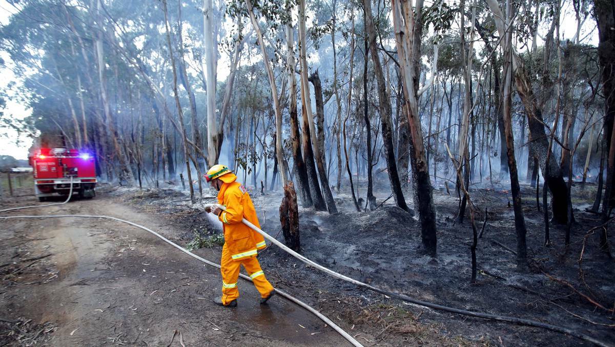 CFA volunteers fighting a fire in bushland at Heatleys Road, Curdievale in Victoria. Photo: Damian White.