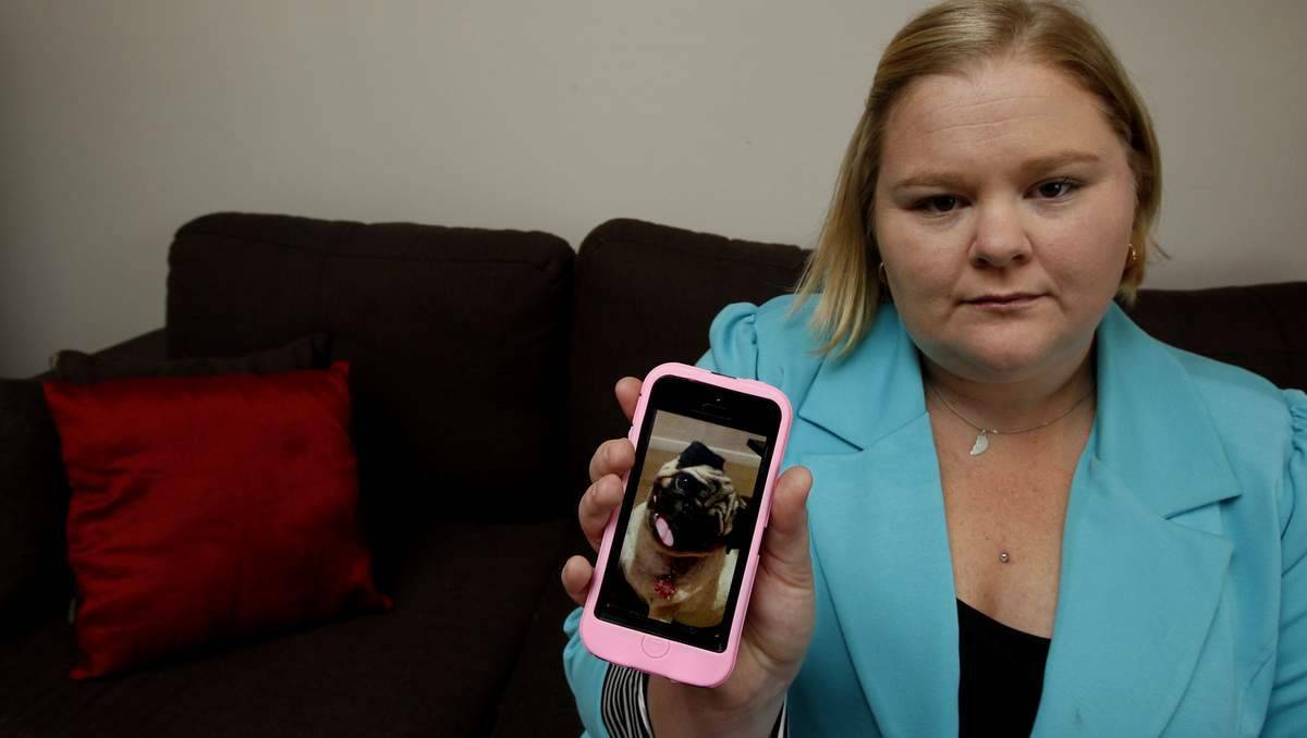 Newcastle resident Renee Blakemore with an iPhone photo of her dog Tattie, which died following an attack by three Staffordshire bull terriers. Her other dog Spud was also attacked. Picture: Jonathan Carroll