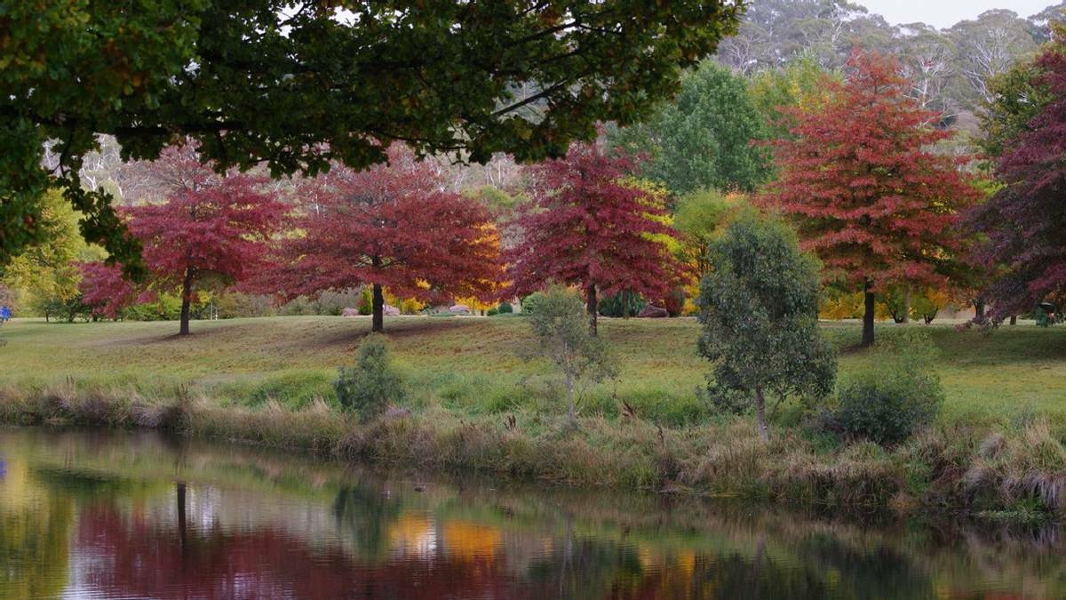  The beautiful and well utilised Bombala River Bicentennial Botanical Gardens and Park celebrated their 25th birthday this week.