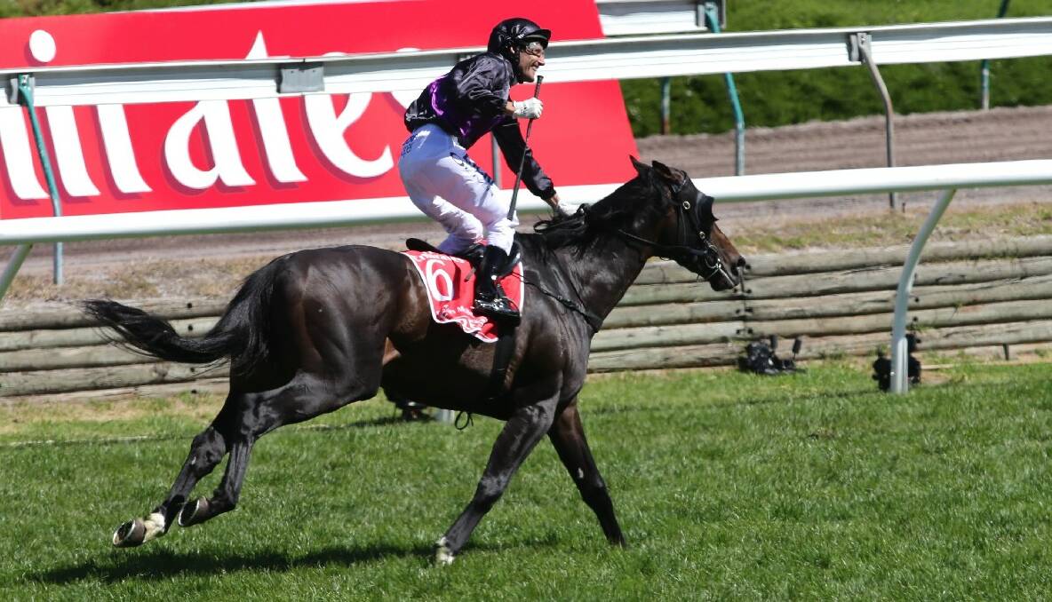 Melbourne Cup 2013 Cup winner Fiorente ridden by Damien Oliver. Picture by Justin McManus.