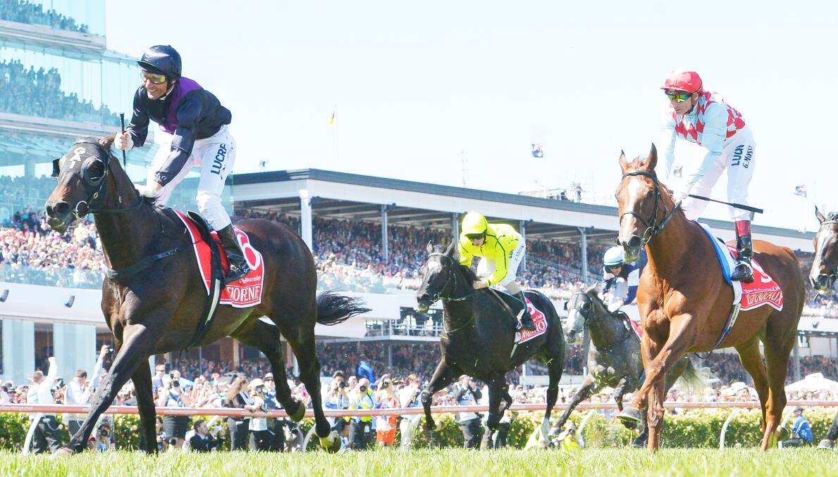 The 2013 Melbourne Cup won by Fiorente ridden by Damien Oliver and trained by Gai Waterhouse. Picture by Pat Scala/The Age.