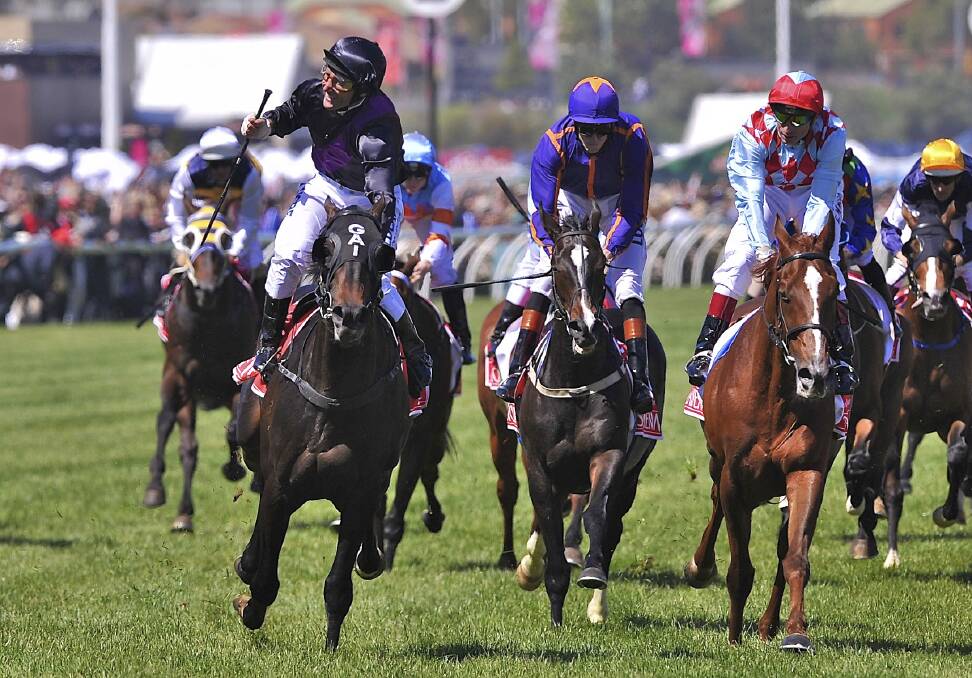 Winner of the 2013 Melbourne Cup Fiorente ridden by Damien Oliver. Picture by Wayne Taylor.