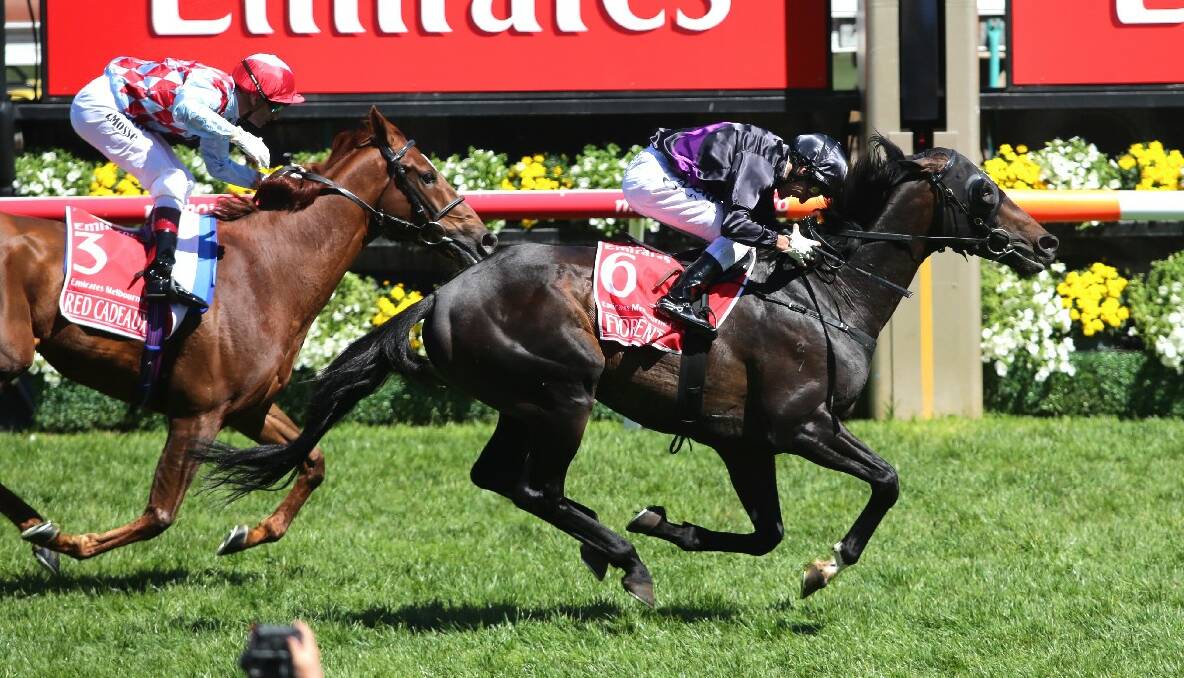Melbourne Cup 2013 Cup winner Fiorente ridden by Damien Oliver, second is Red Cadeaux. Picture by Justin McManus.