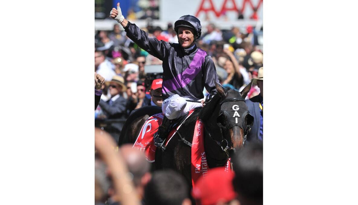 Winner of the 2013 Melbourne Cup Fiorente ridden by Damien Oliver. Picture by Wayne Taylor.