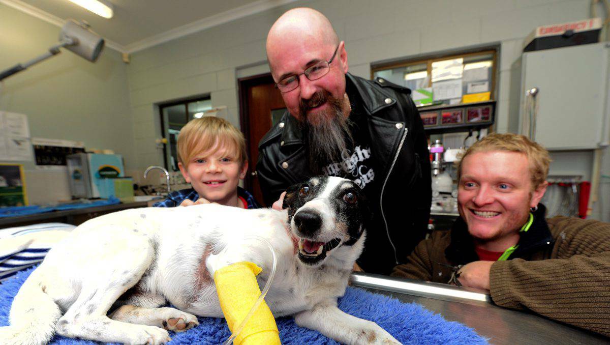 Steve Hunter (centre) with Jock Maule and his son Archie are re-united with Salty in the veterinary clinic. Picture: Jeremy Bannister.