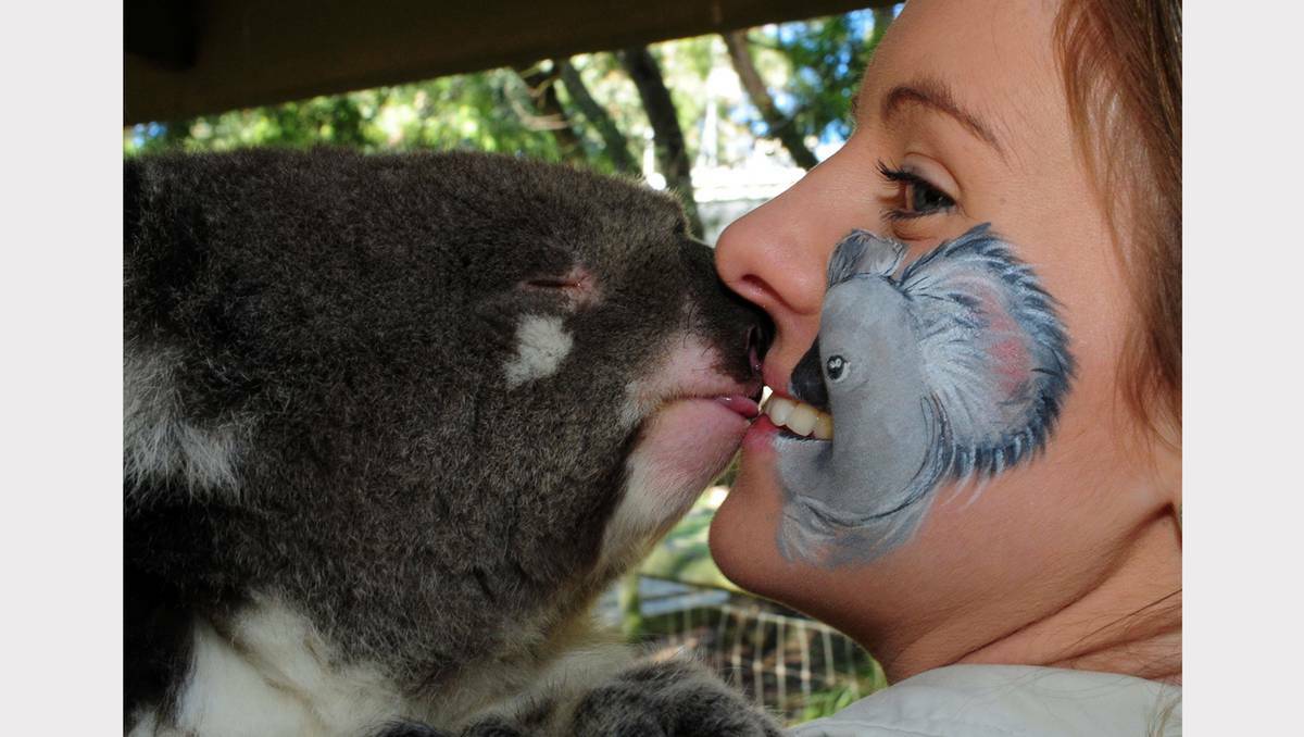 Lauren Rix and Milton the Koala. Picture: Jeremy Bannister.