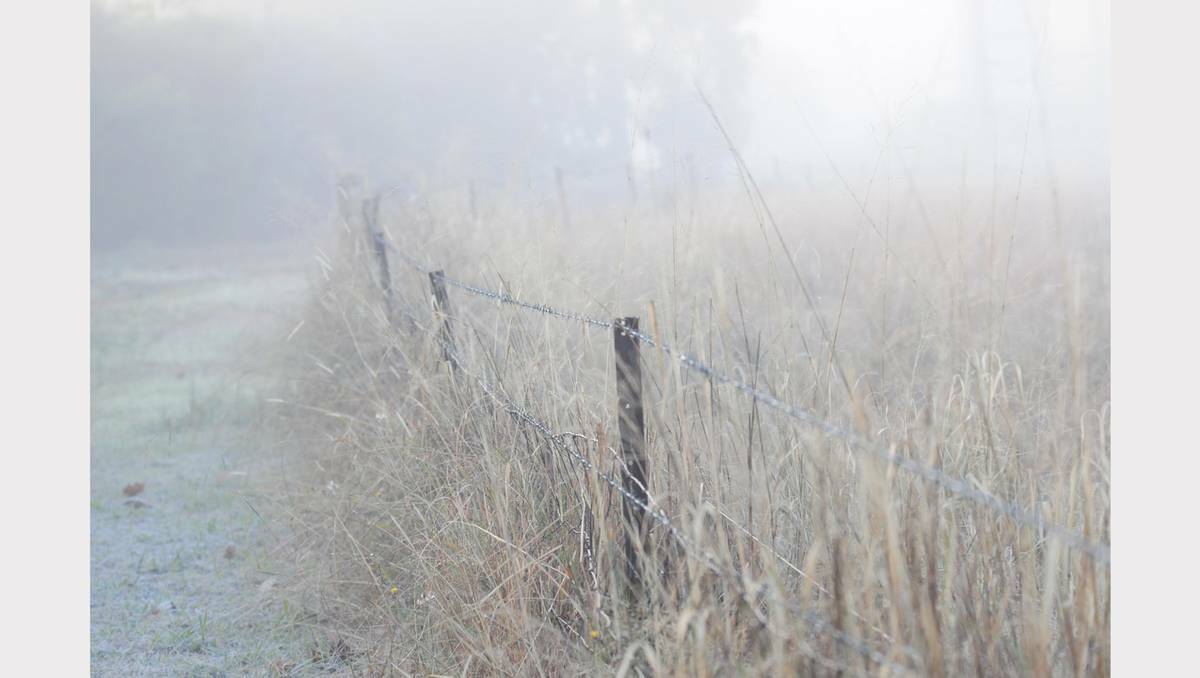 Some beautiful images of Dubbo's early frosty mornings. Photo Louise Donges.