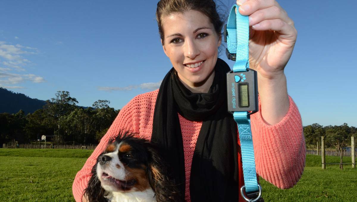  Inventor of the new AnyPet Digital Collar Amanda Cole hopes her pet pedometer will encourage people to invest in their pet’s health.