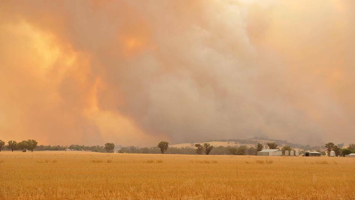 The blaze approaches the township of Stockinbingal. Picture: Michael Frogley. 