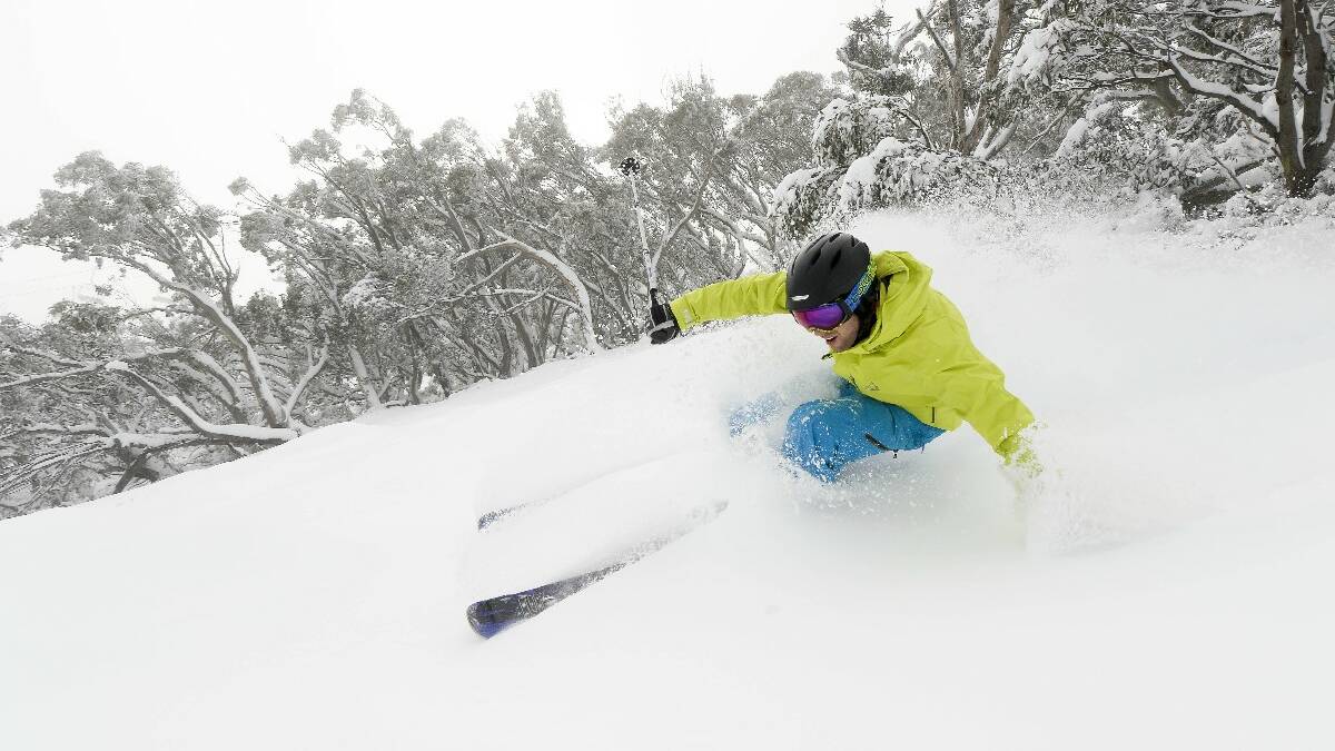 Mt Buller has welcomed a fresh dump of snow with 20cms falling across the resort overnight and temperatures dropping to minus 3.1 degrees. Wolfgang Platzer makes a big turn in powder. Picture: Andrew Railton