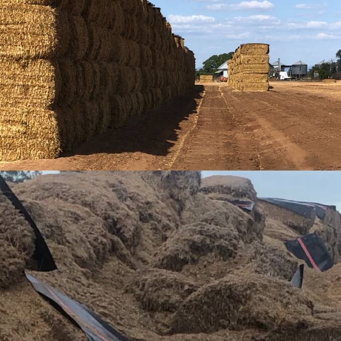 Before and after....bailed hay before then the collapsed hay stacks after mice damage at Dean Ferguson's property Armatree. Photo: Martin Murray 