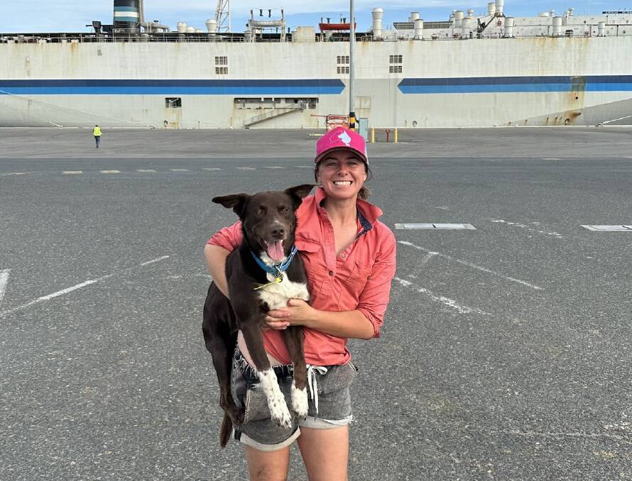 Ms Matthews, who grew up on a sheep and cattle farm in New Zealand, has sailed three voyages since working on her first live export ship last year.
