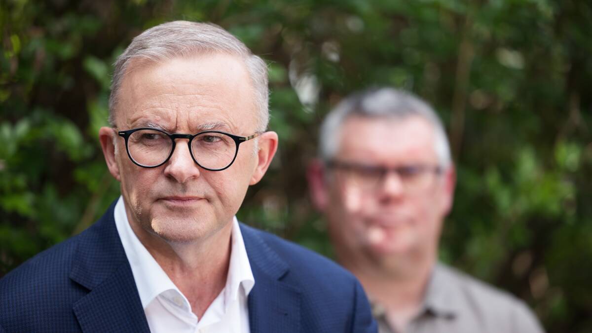 Anthony Albanese has also flagged a willingness to support the sector. Picture: Sitthixay Ditthavong