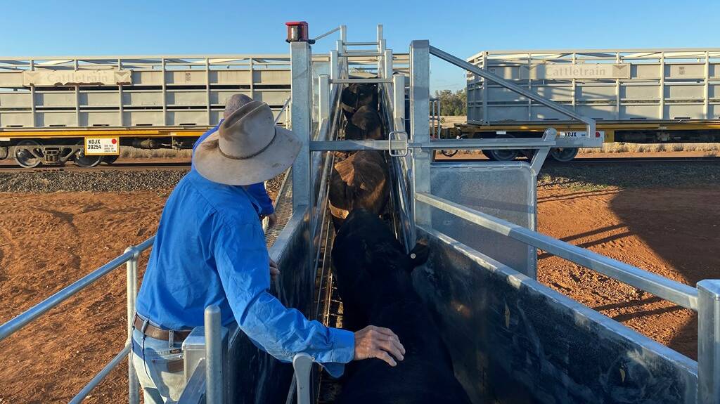 More than $3 million has been allocated to improve cattle loading yards for rail services. Picture supplied
