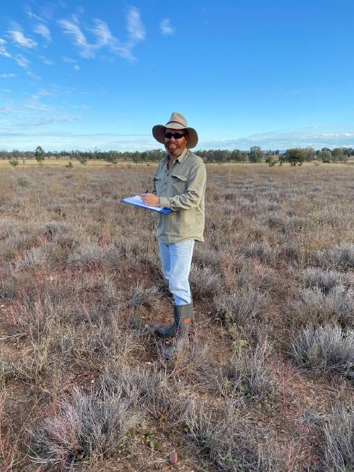 Principal Pasture Agronomist Stuart Buck in dieback-affected pasture in Central Queensland. Picture by Department of Agriculture and Fisheries 