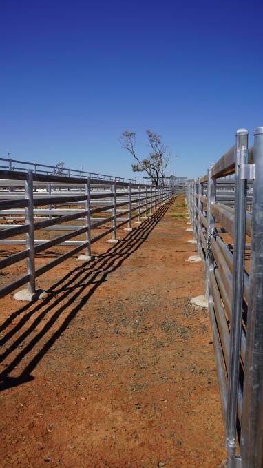 Cloncurry Shire Council welcomed the finalisation of an additional 40 new bull pens at the facility. Picture supplied by Cloncurry Shire Council. 
