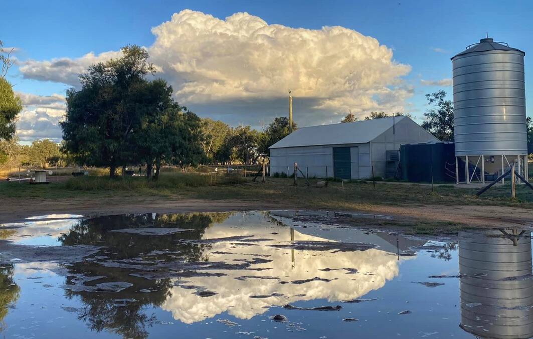 Puddles in July, 2022, for Helen Aspinall from Thailia, Blackall. Picture: Helen Aspinall