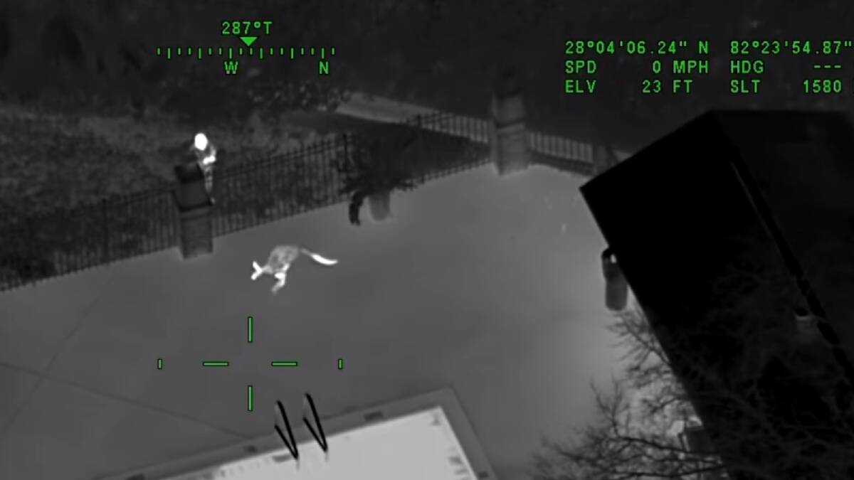 Aerial night vision footage of a kangaroo in a Florida apartment complex. Picture Hillsborough County Sheriff's Office