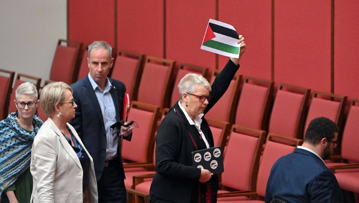 Greens senator Janet Rice holds a Palestinian flag during a walk out by the Greens during Senate question time on Monday. Picture AAP