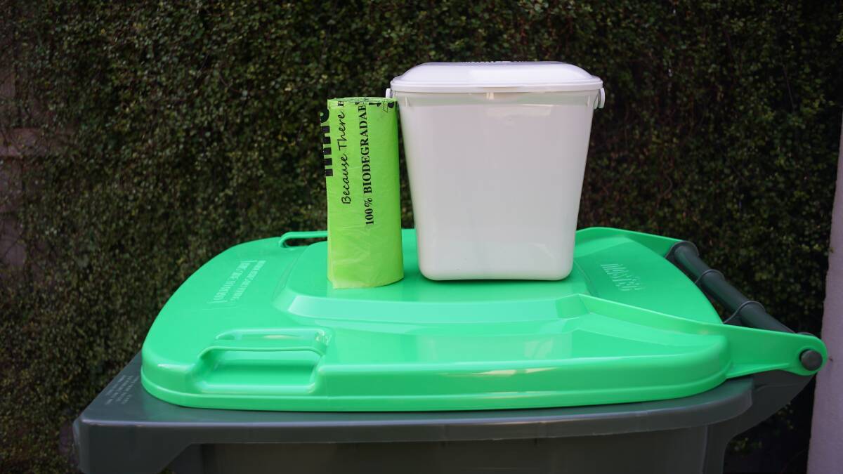 A new green bin could be coming to Mount Isa households under a new council plan. Picture file