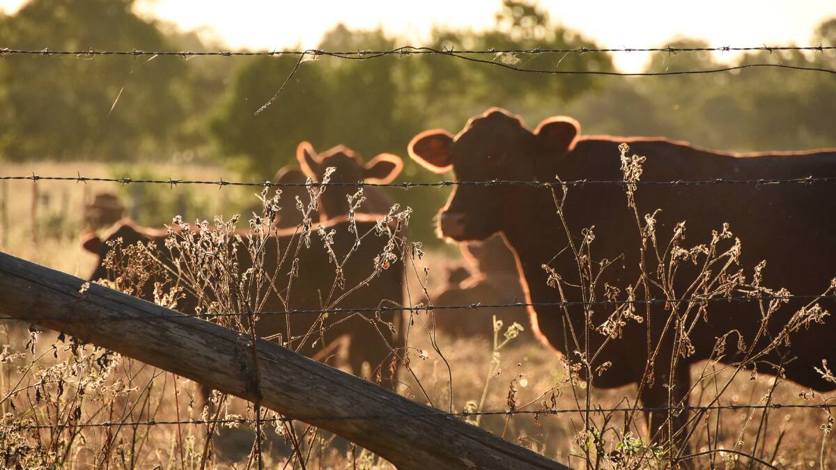 Cloncurry to host Beef Up session in October