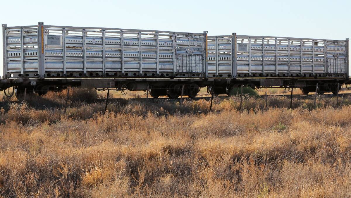Rolling stock: A steel alloy has been used in the design of new cattle train wagons being seen on the Queensland Rail network this year. Picture: Sally Cripps.
