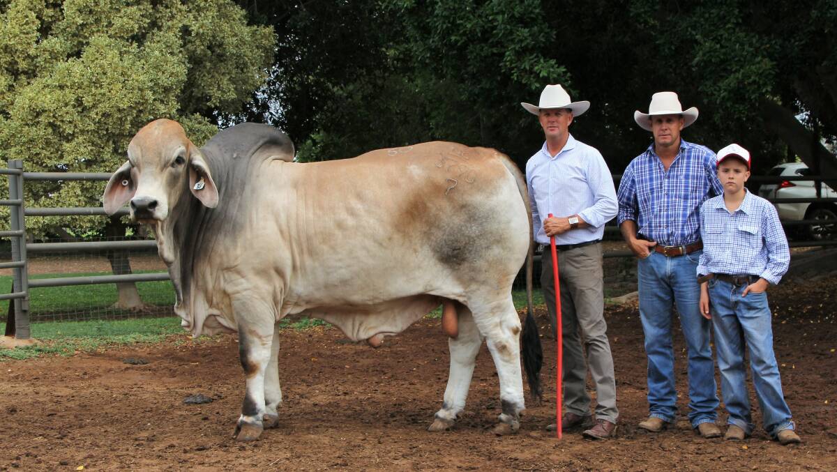 NCC Manafort standing with Brett Nobbs and buyers, Drew and Harry Hacon, Cubbaroo Brahmans, Cloncurry.