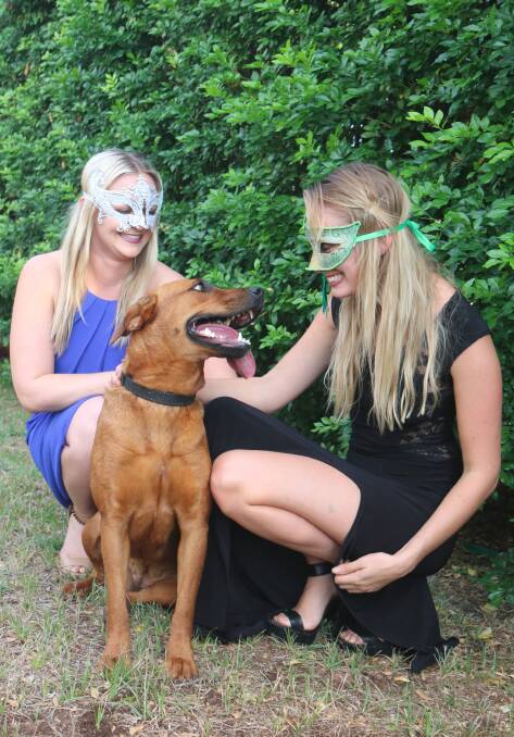 PUPPY LOVE: Foster carers for Paws Hoofs and Claws, Natalie Harrison and Aleace Cunningham (with Mani), have organised the Animal Masquerade Ball for November 11. 