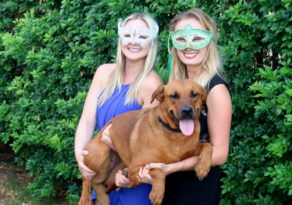 PUPPY LOVE: Paws Hoofs and Claws foster carers and Animal Masquerade Ball organisers, Natalie Harrison and Aleace Cunningham, with gorgeous foster dog, Marnie.