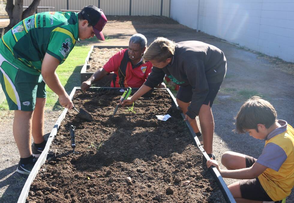 Hombre Major and school students get planting.