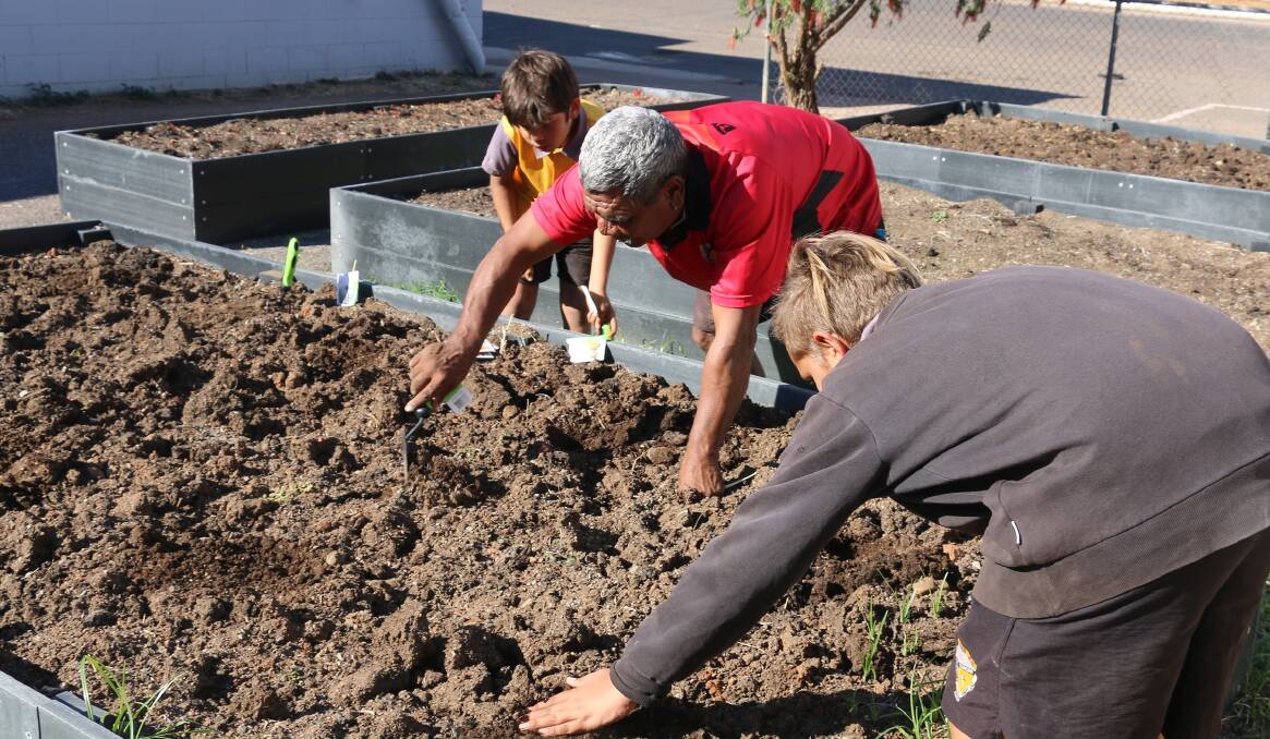 Indigenous Elder, Hombre Major, helps turn the new soil in one of the Cloncurry Community Garden beds. 