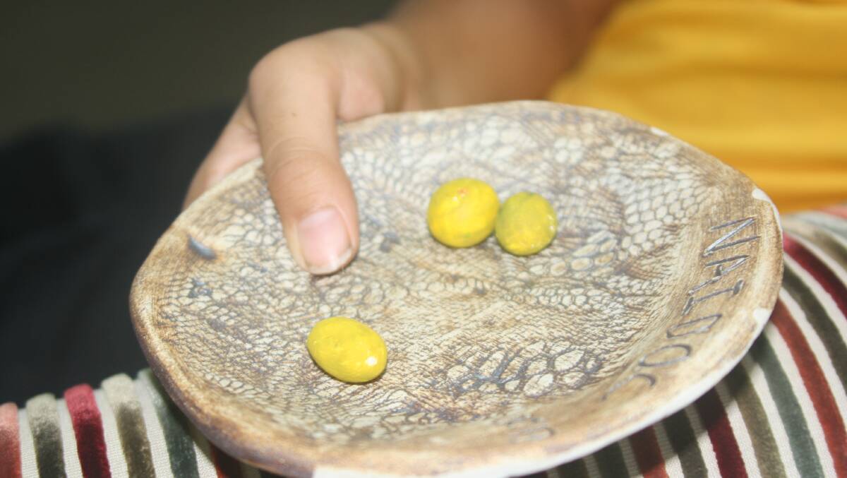NAIDOC dish with clay fruit to boot.
