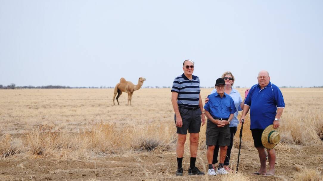 WILD ADVENTURES: Phil Gibson, Eric Bradford, Staff member Robin Tully and Charlie Dowler spotted a camel on their way from Richmond. 