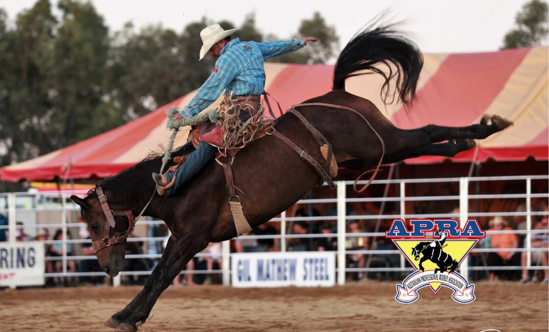 Record entries at Richmond Rodeo this weekend The North West Star