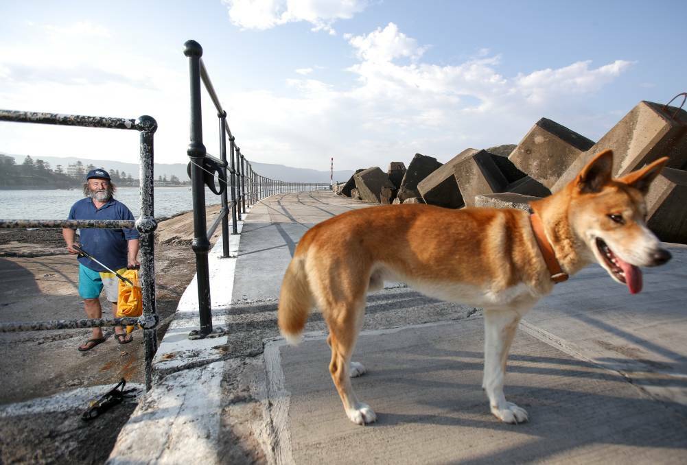 Richard Gifford Palmer and his dingo Orrajaal at Wollongong Harbour. Photo: Adam McLean. 