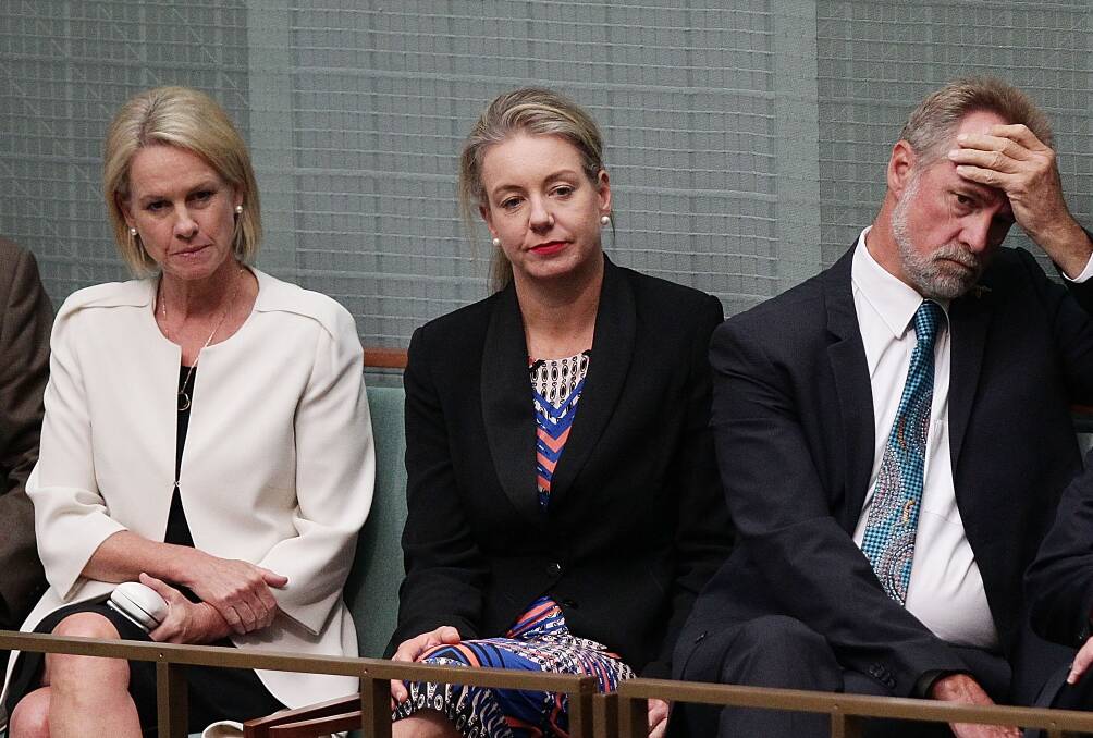 Senators Fiona Nash, Bridget McKenzie and Nigel Scullion in the House of Representatives earlier this year. Photo: Getty Images.