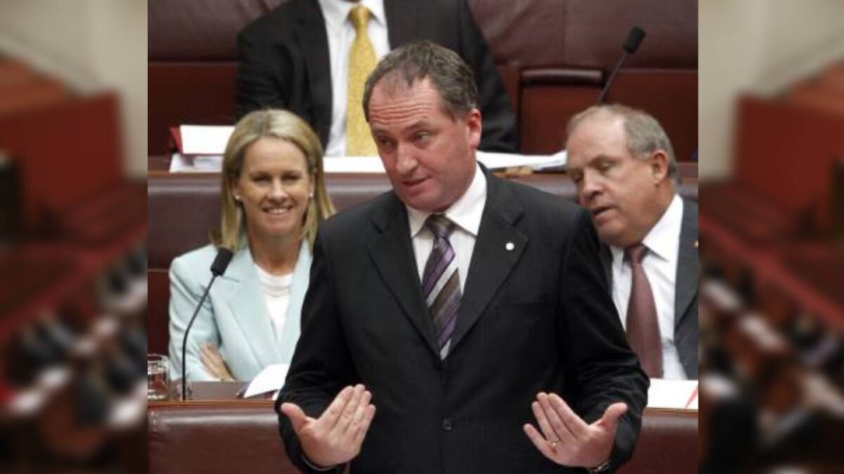 Barnaby Joyce is a former Senator for Queensland. Piture: Glen McCurtayne