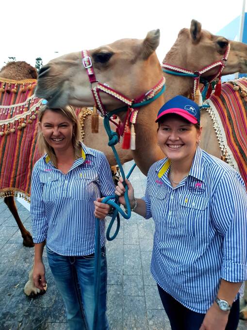 OUTBACK LAUNCH: Life with camel's is always exciting.