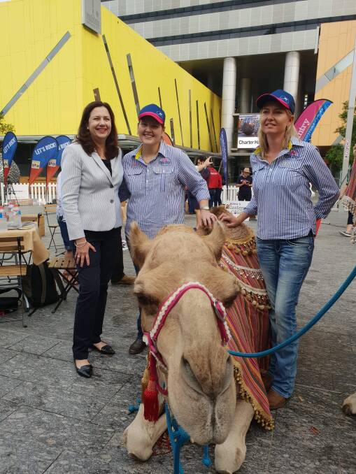 BOULIA CAMEL: The exciting launch of the Year of the Outback in the Reddacliffe Centre, Brisbane. Photo: Supplied