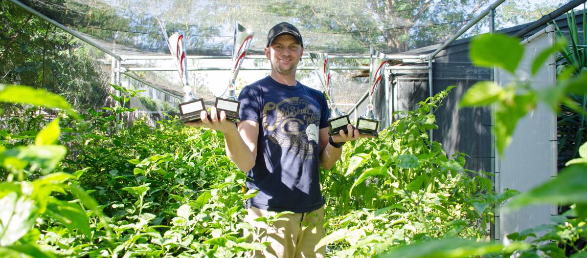 PASS THE CHILLI SAUCE: Mount Isa man Stephen Bingham won four trophies at the Mr. Chilli awards held in New Zealand this year. Photos: Melissa North