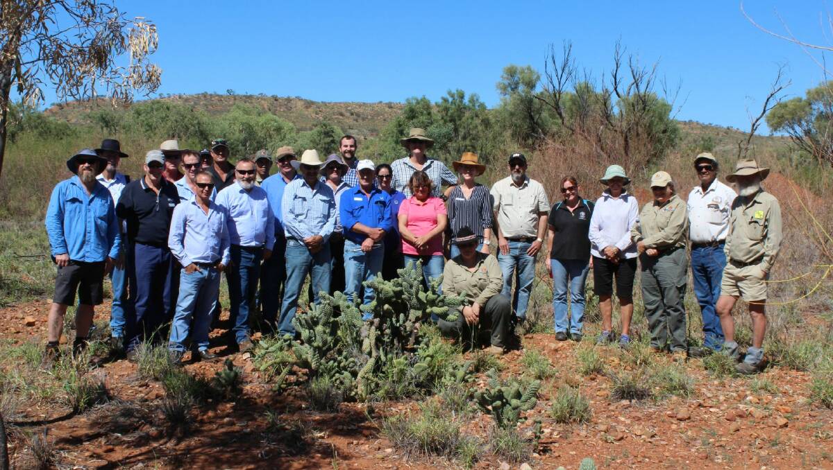 RELEASE THE BIO BUG: The Gulf Catchments Pest Task Force Meeting Group examines local Coral Cactus. Photo: Supplied