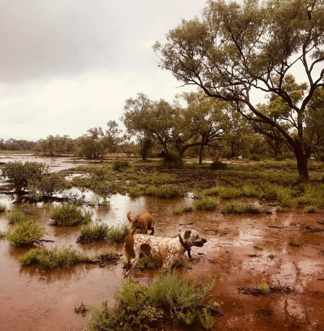 WELCOMED WEATHER: The rain has been a welcome relief to scorching temperatures and dry weather conditions . Photo: Tracey Thrower