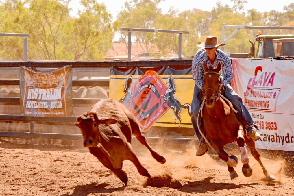 TIMING: Some of the fastest times in the Open Restricted Campdraft we're seen by the skillful competitors on Friday. Photo: Melissa North