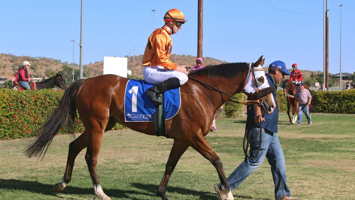 Expat Envy parades before racing to victory. Photo: Sharon Crossland
