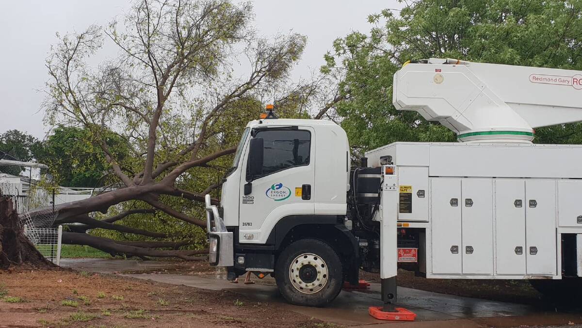 UPROOTED TREE: Ergon Energy was kept busy over the weekend with power lines down and sparking poles. 