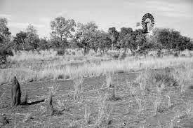 Land around Camooweal, over which the pioneer Drovers may have herded their mob of cattle.