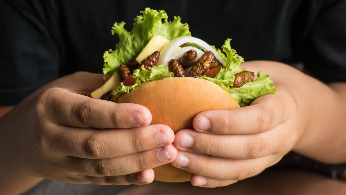 Bug burger anyone? Picture Shutterstock