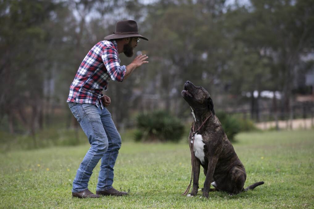 Bear the Dog Behaviourist. Pictures: Geoff Jones